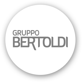logo gruppo bertoldi
